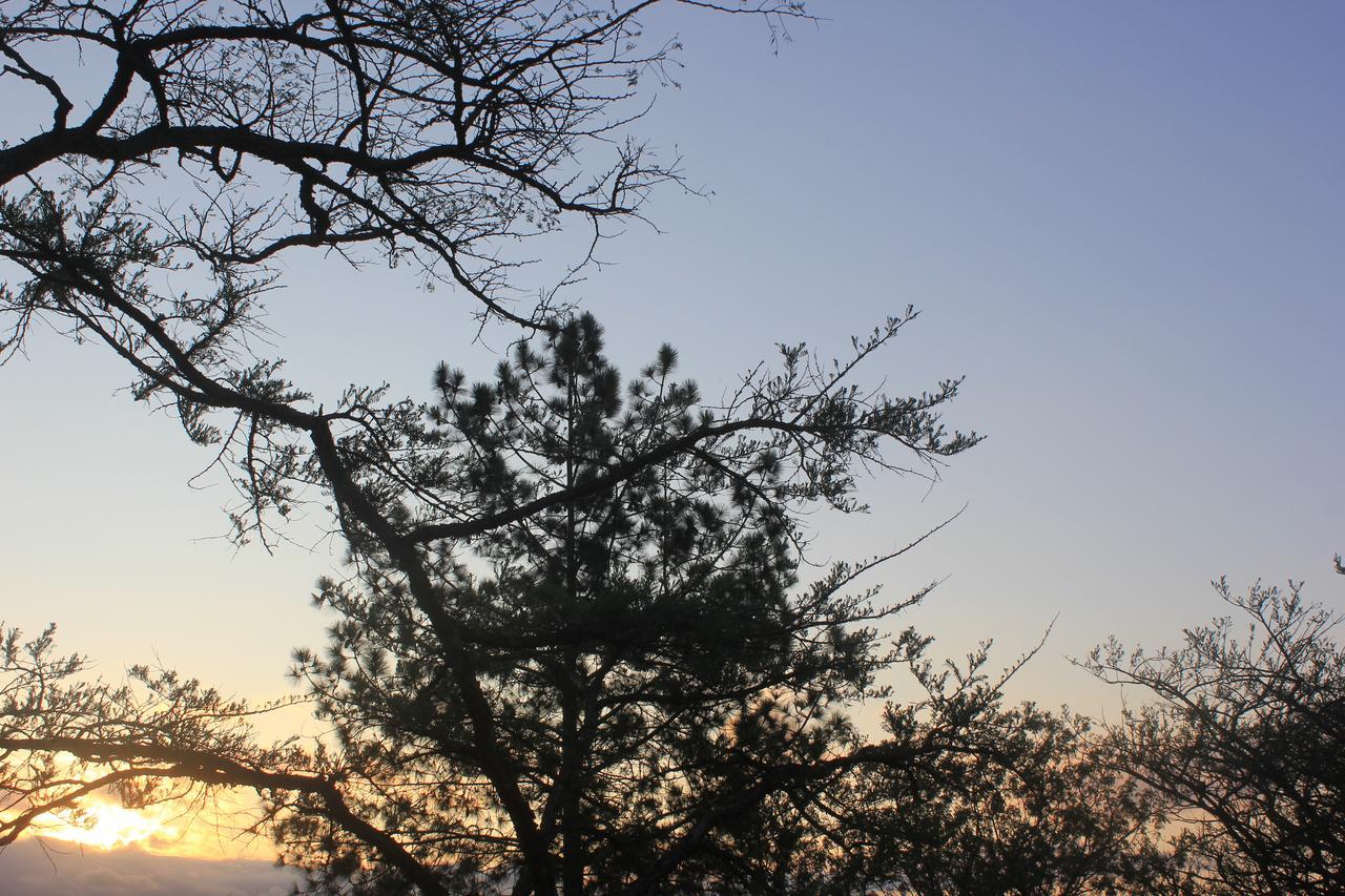 Acacia Bush Lodge 彼得马里茨堡 外观 照片
