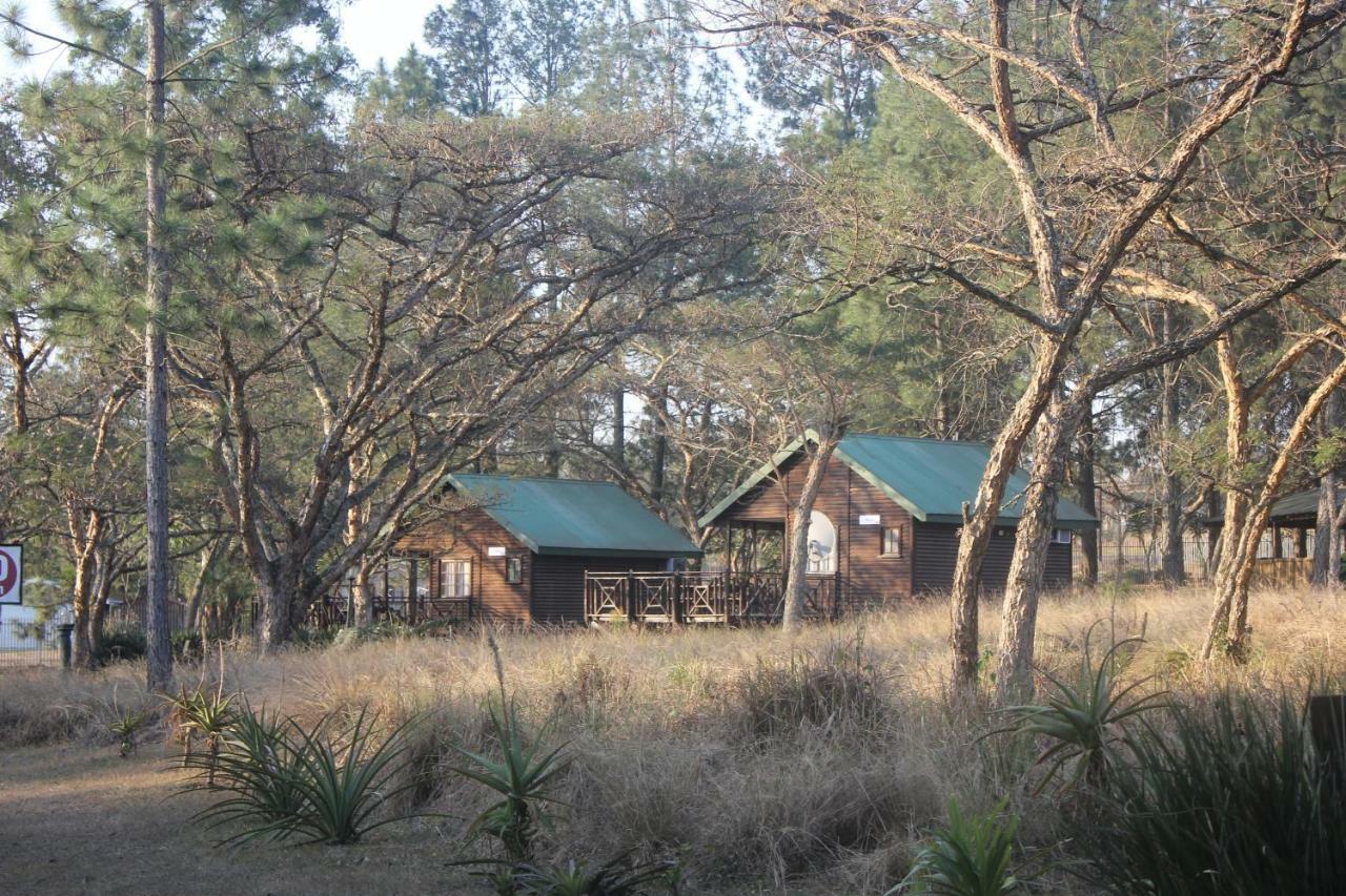 Acacia Bush Lodge 彼得马里茨堡 外观 照片
